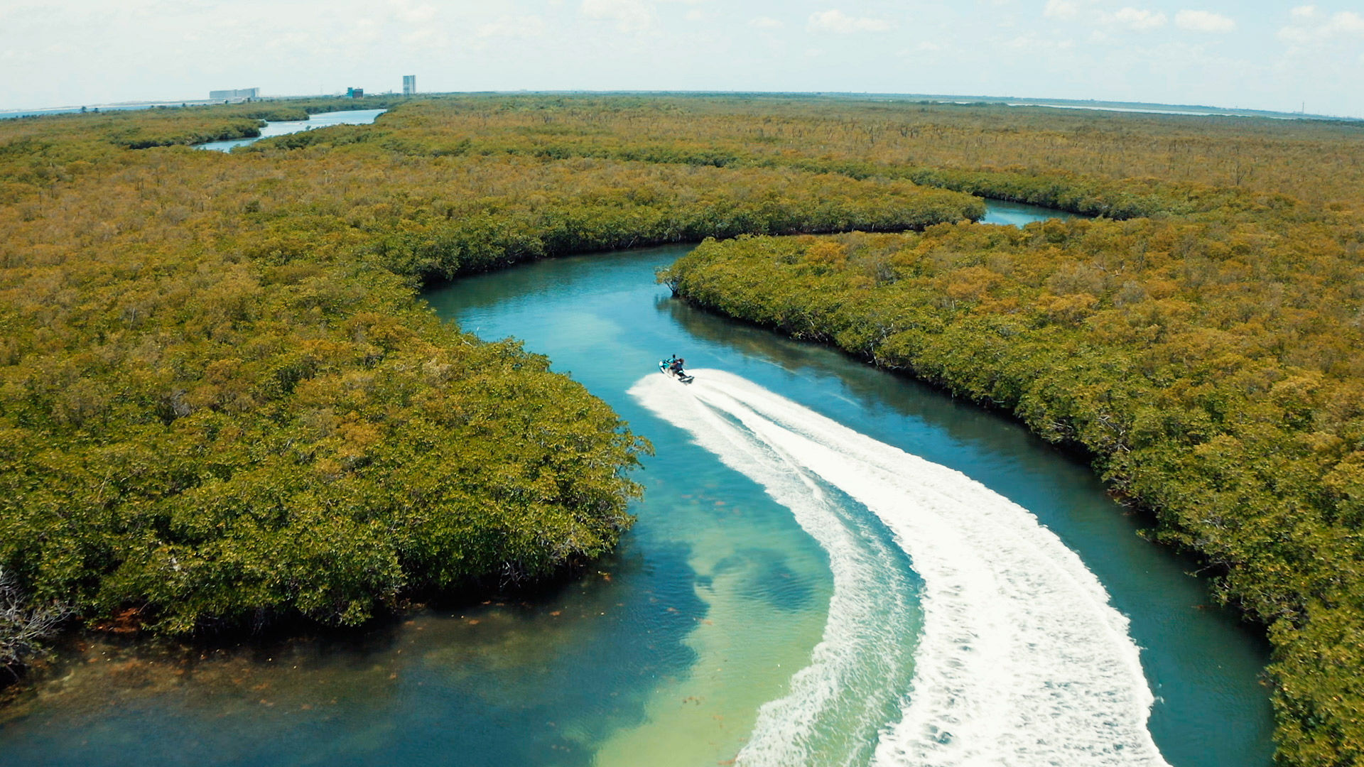 Aline, Antonio e Igor