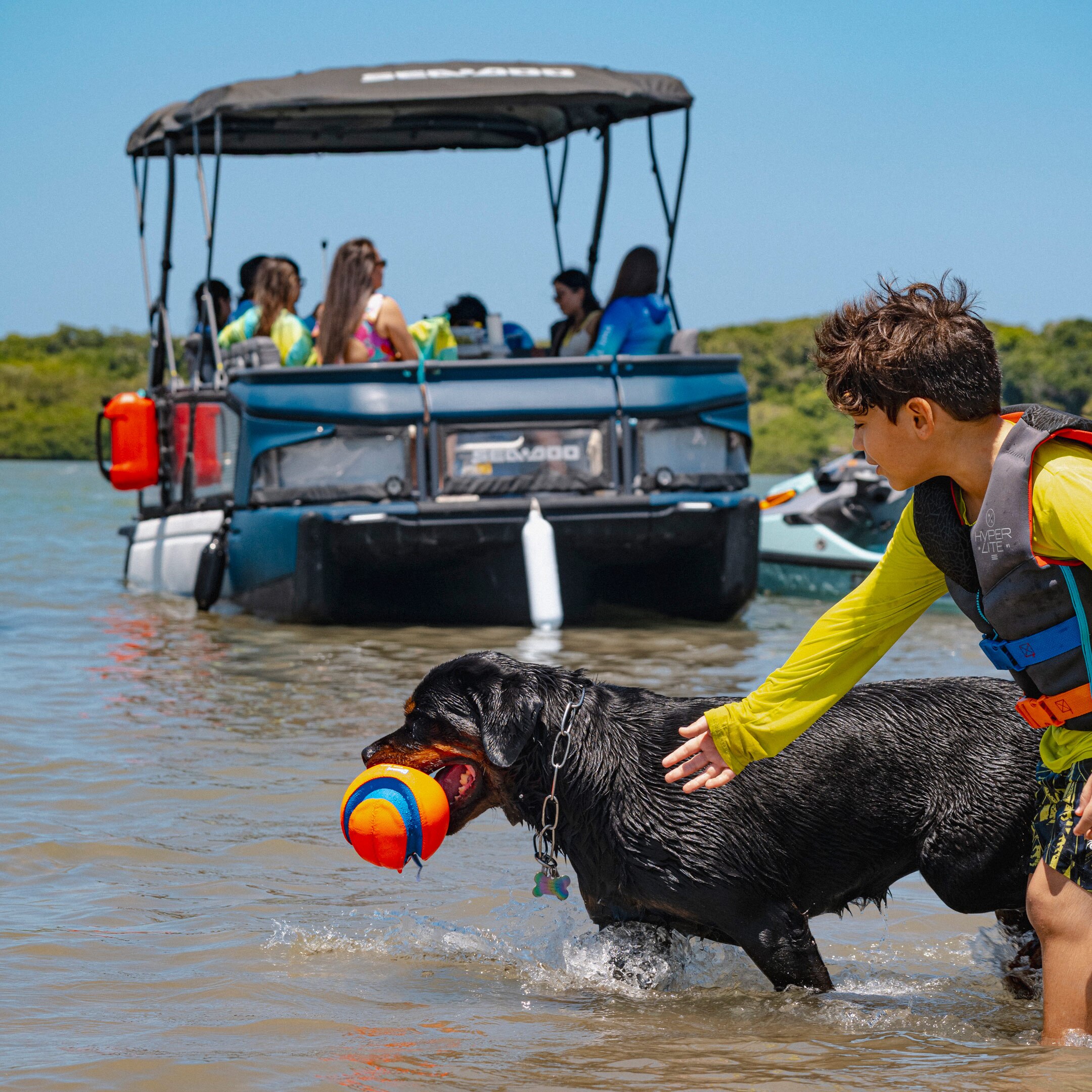Niño y perro jugando en el agua