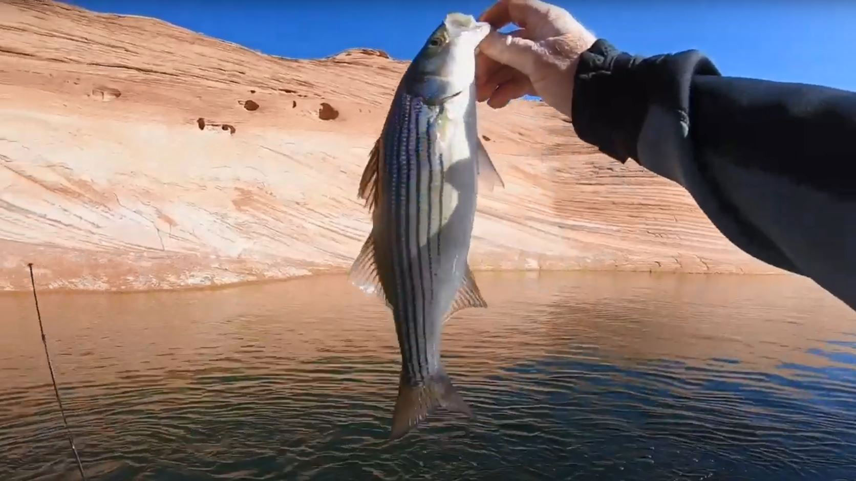 Men holding a fish in Lake Powell