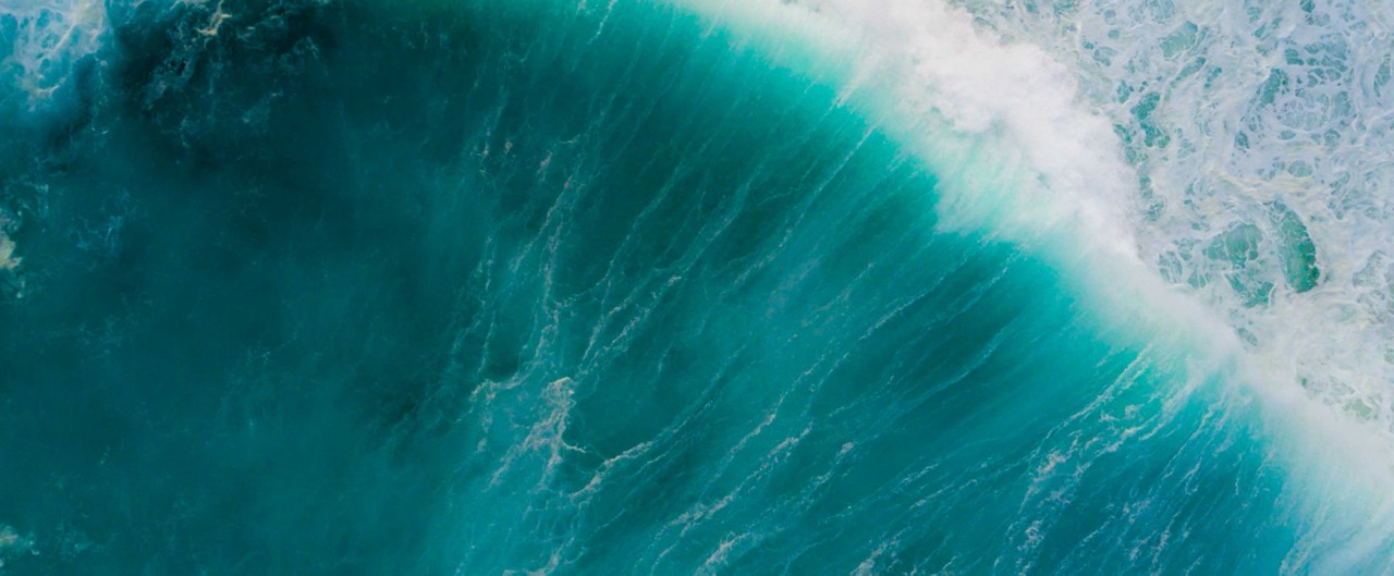 Sea-Doo Wave